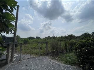 Ngộp bank 15tỷ, cần bán gấp đất vườn thơm, bình lợi, 8,400m2 sổ riêng giá tốt