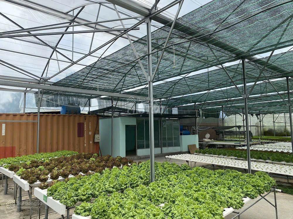 Bán 1000m2 khu vườn rau sạch, đường vườn thơm, bình lợi, bình chánh