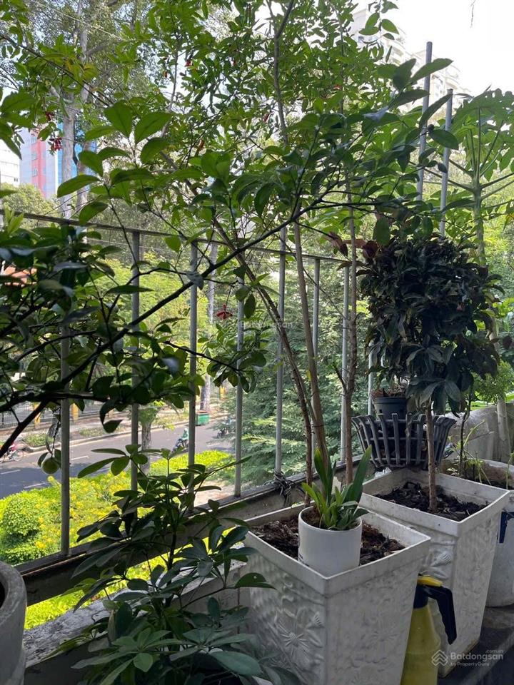 Bán căn hộ chung cư tại hồng bàng, 2,9 tỷ, 30m2, 2pn, 1wc, sổ hồng riêng, hàng hiếm!