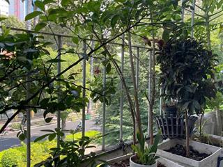 Bán căn hộ chung cư tại hồng bàng, 2,9 tỷ, 30m2, 2pn, 1wc, sổ hồng riêng, hàng hiếm!