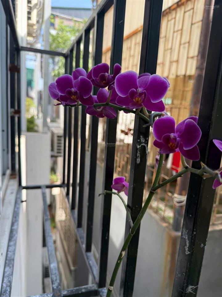 Siêu phẩm thang máy tam khương đống đa 47m  7 tầng  mt 4,8m  giá chỉ 20 tỷ.