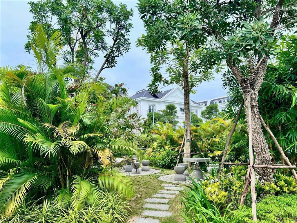 Căn góc song lập lam viên 223m² giá tốt dự án eurowindow twin parks