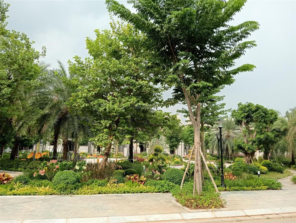Căn hà nội oriental view hồ sen hướng tây bắc, giá 15 tỷ