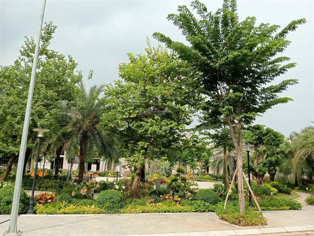 Căn hà nội oriental view hồ sen hướng tây bắc, giá 15 tỷ