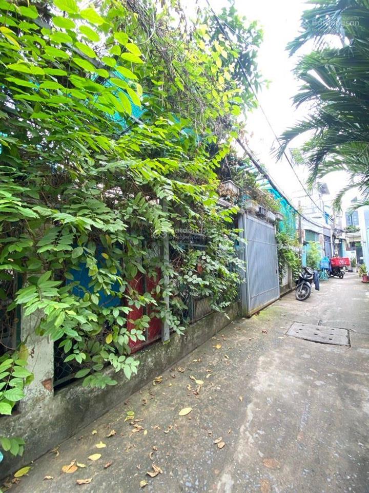 Nhà xây biệt thự vườn trung tâm quận 7, 142,3m2 chỉ 51tr/m2 ngang 11,5m, thực tế 14m giá nhỉnh 7 tỷ