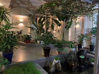 Bán căn villa hẻm 48 hồ biểu chánh, p.11, quận phú nhuận (7mx26m) nở hậu 8m, giảm giá mạnh 40 tỷ tl