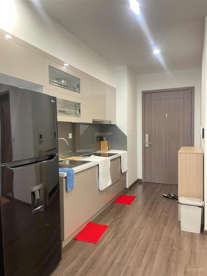 Chính chủ cần cho thuê căn chung cư cao cấp tại vinhomes symphony riverside full nội thất,giá 11tr