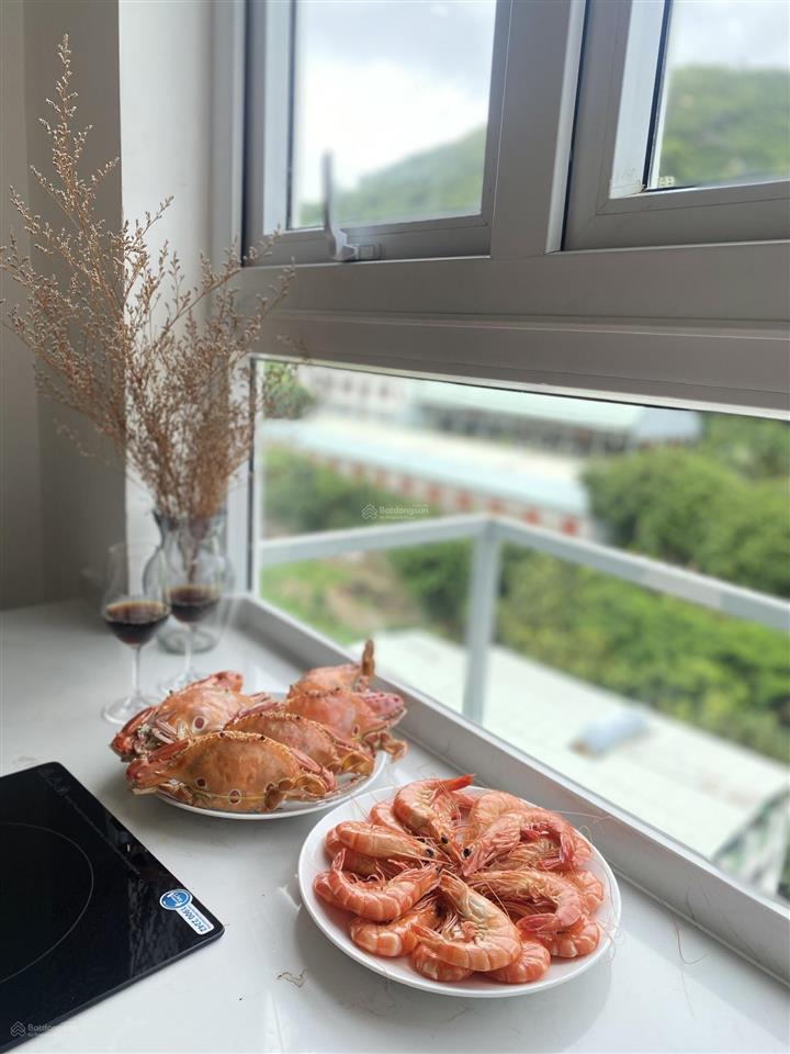 Cần bán căn hộ biển vũng tàu vừa nghỉ dưỡng, vừa sinh lời