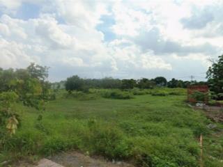 Kẹt tiền bán lỗ mt đường nhựa tân phú trung, củ chi 90m2 1,4 tỷ shr