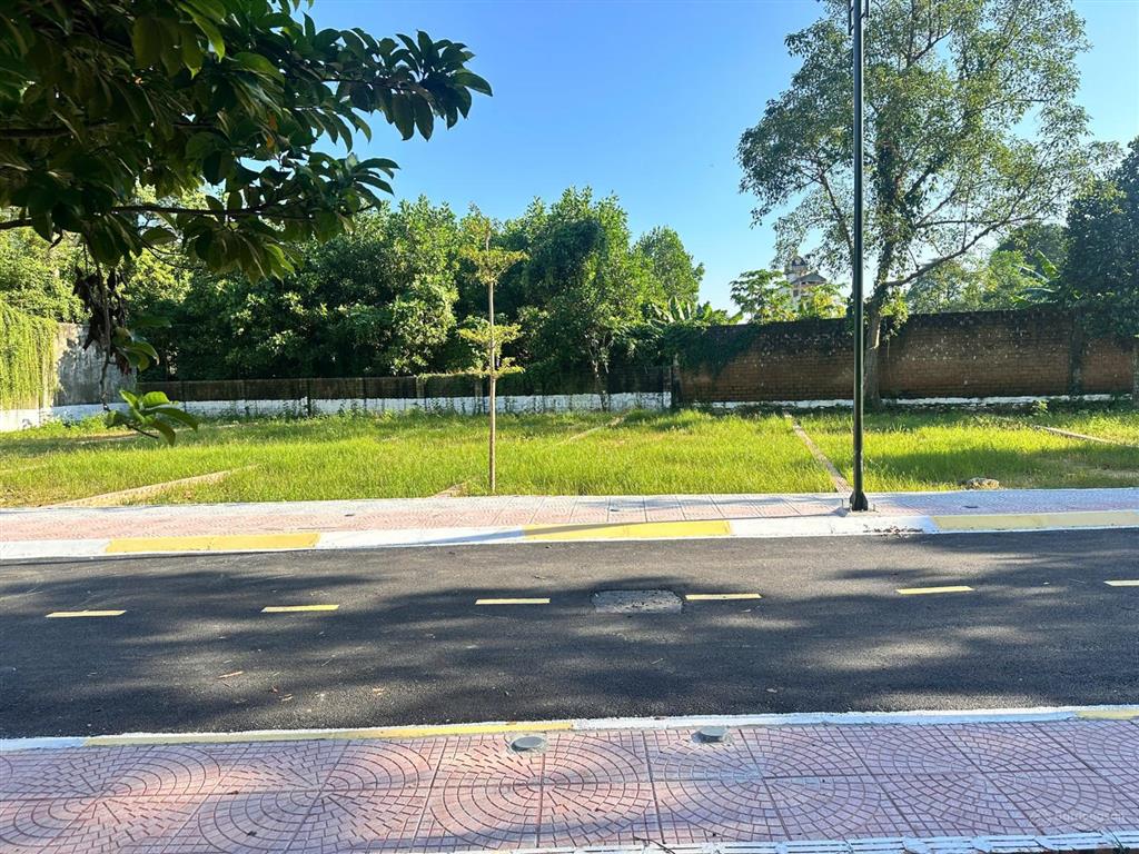 Bán đất cổ đông, 115m2, giá tốt, mặt tiền 6m, pháp lý đầy đủ