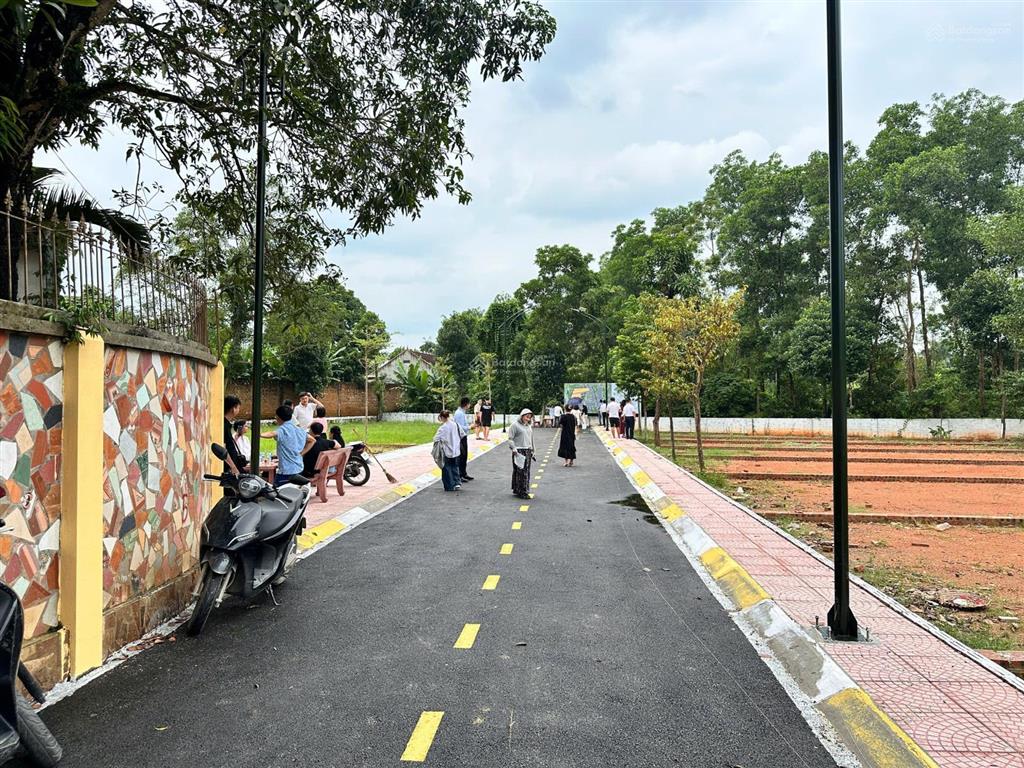 Bán đất cổ đông, 115m2, giá tốt, mặt tiền 6m, pháp lý đầy đủ