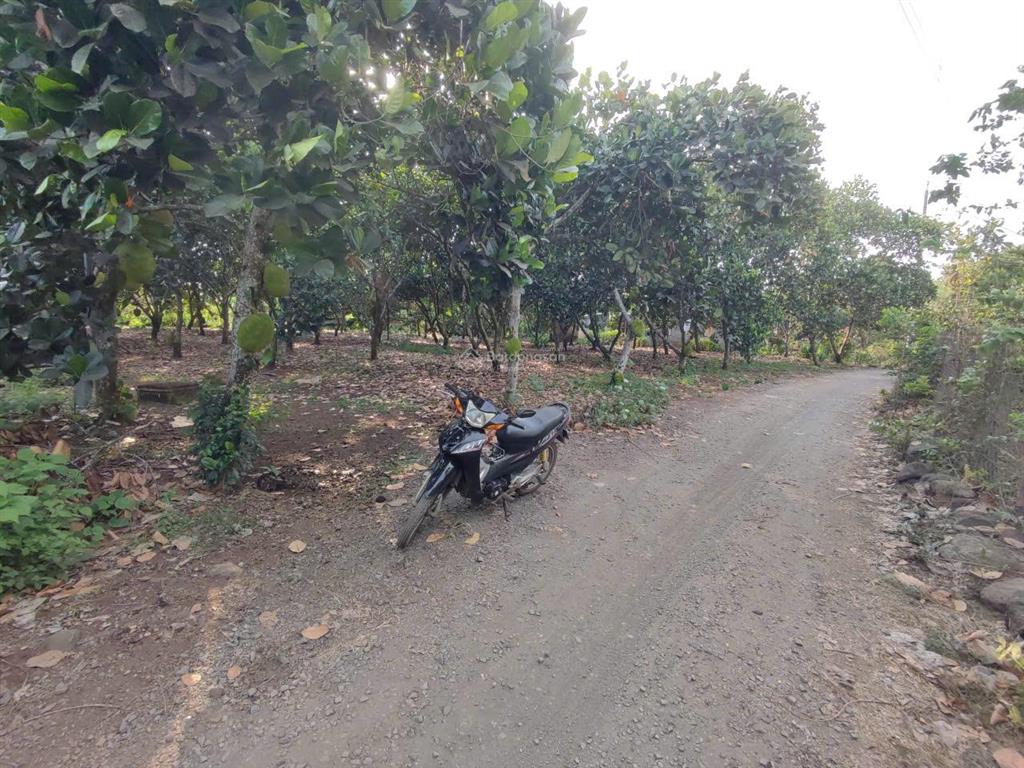 Bán đất giá tốt  cơ hội đầu tư hấp dẫn