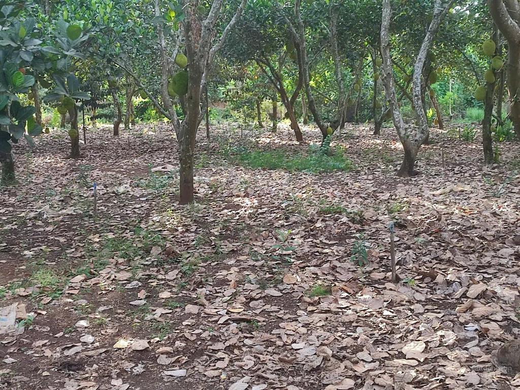 Bán đất giá tốt  cơ hội đầu tư hấp dẫn