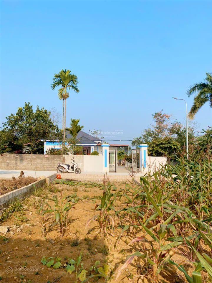 Bán đất 50m2 tại nhuận trạch, lương sơn, hòa bình, giá tốt 1,55 tỷ