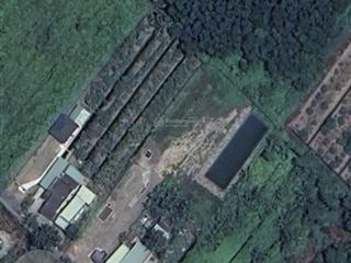 Bán đất 2000m2 tại thạnh hòa, 3,9 tỷ, đẹp, nhiều tiện ích (200m2 thổ cư và 1.800m2 đất trồng cây)