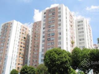 Bán chcc bàu cát ii. dt  62m² 2pn 2wc, 4 tỷ 300  full nội thất  có sổ  lô a  tin thật 100%