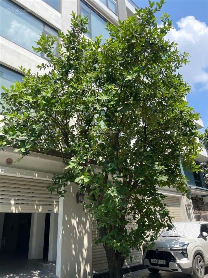 Cho thuê liền kề kđt đại kim mới, 130m2*6t thang máy, ô tô đỗ ngày đêm, pccc đầy đủ, phù hợp vp, kd