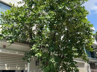 Cho thuê liền kề kđt đại kim mới, 130m2*6t thang máy, ô tô đỗ ngày đêm, pccc đầy đủ, phù hợp vp, kd