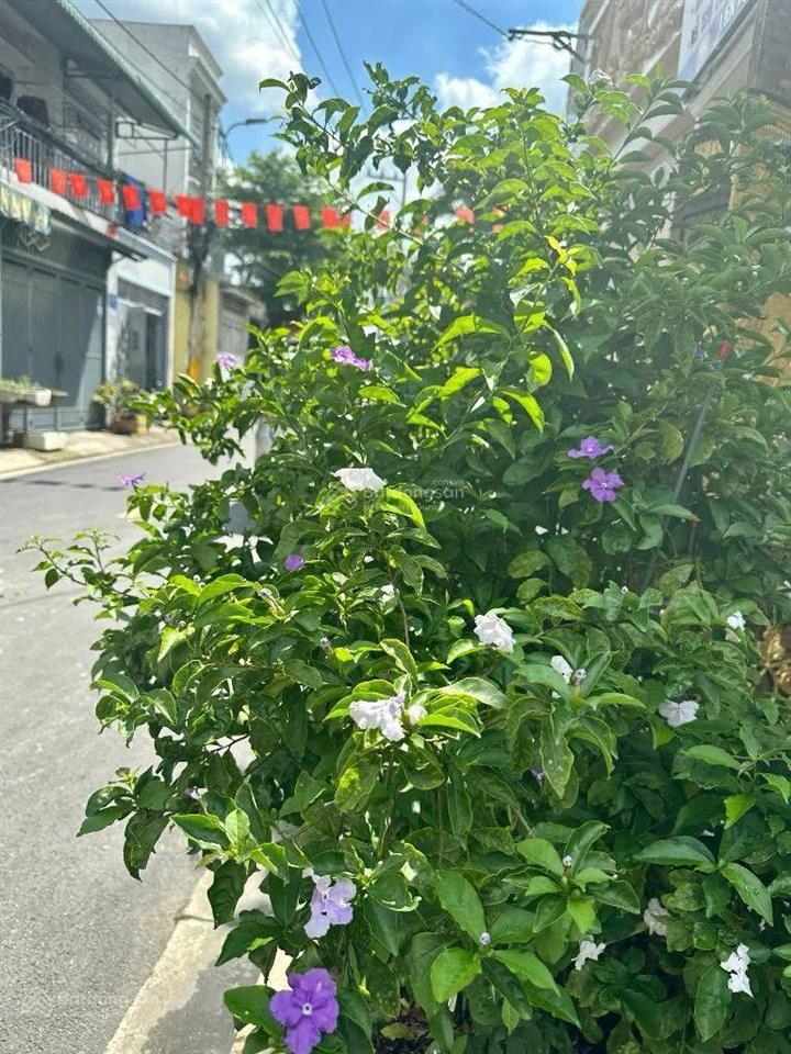 Lê văn khương,80 m2, hẻm xe hơi thông thoáng, bán 5tỷ 890. ngà nhà thật sài gòn hỗ trợ xem nhà.
