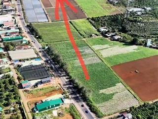 ĐẤT CHÍNH CHỦ - GIÁ TỐT Tại QL20 Xã Hòa Ninh, Huyện Di Linh, Tỉnh Lâm Đồng