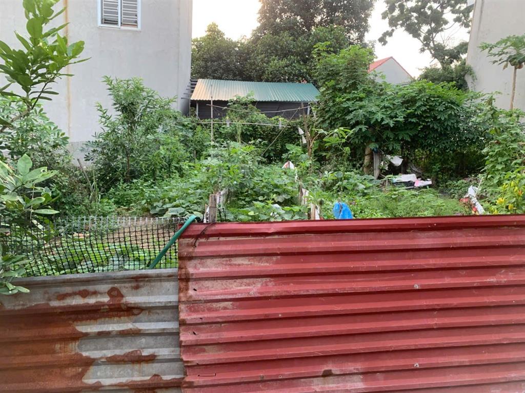 ĐẤT CHÍNH CHỦ - GIÁ TỐT KHC 15 Phường Liên Bảo, Thành Phố Vĩnh Yên, Tỉnh Vĩnh Phúc