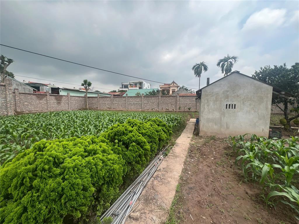 ĐẤT CHÍNH CHỦ- GIÁ TỐT BÁN NHANH LÔ ĐẤT VỊ TRÍ ĐẮC ĐỊA tại Huyện Khoái Châu, Hưng Yên
