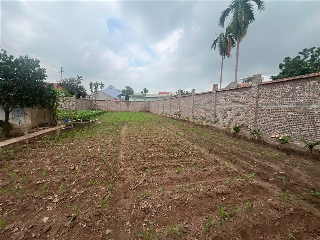 ĐẤT CHÍNH CHỦ- GIÁ TỐT BÁN NHANH LÔ ĐẤT VỊ TRÍ ĐẮC ĐỊA tại Huyện Khoái Châu, Hưng Yên