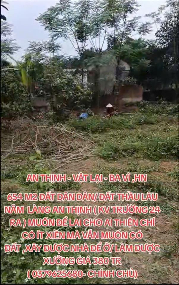 MẢNH ĐẤT GIÁ HỜI - BÁN NHANH LÔ ĐẤT DÃN DÂN /TRỒNG CÂY LÂU NĂM - ĐẦU TƯ LÀ SINH LỜI TẠI