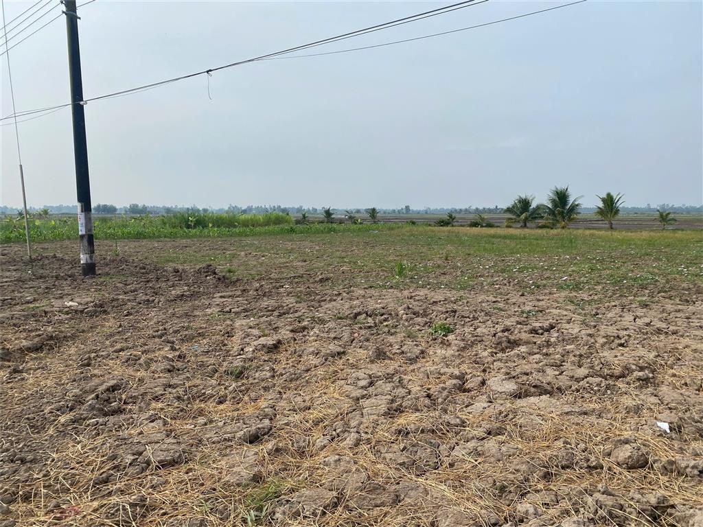 ĐẤT VỊ TRÍ ĐẸP – CHÍNH CHỦ CẦN BÁN Đất Mặt Tiền DT911, Xã Phước Hưng, Huyện Trà Cú, Trà