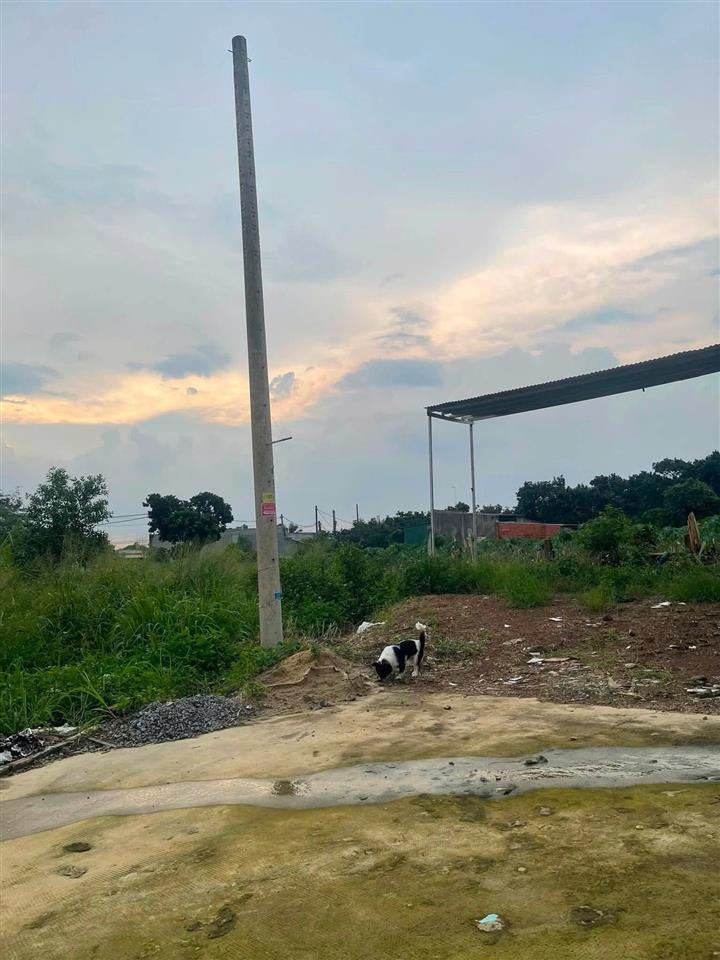 ĐẤT ĐẸP – GIÁ TỐT – CHÍNH CHỦ CẦN BÁN LÔ ĐẤT TẠI Hưng Long, Hưng Bình 2, Hưng Thịnh, Đồng