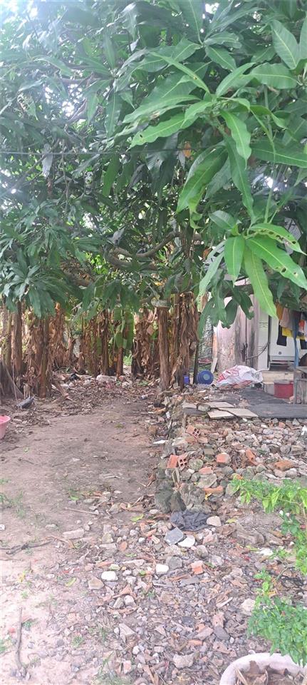 VỊ TRÍ ĐẸP - GIÁ TỐT - Chính Chủ Bán Đất Ấp 3, Xã Xuân Thới Sơn, Hóc Môn, Tp Hồ Chí Minh