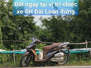 BÁN ĐẤT MẶT TIỀN QL N2 GẦN CHỢ ĐƯỜNG THÉT – Quốc lộ N2, Xã Mỹ Quý, Huyện Tháp Mười, Đồng