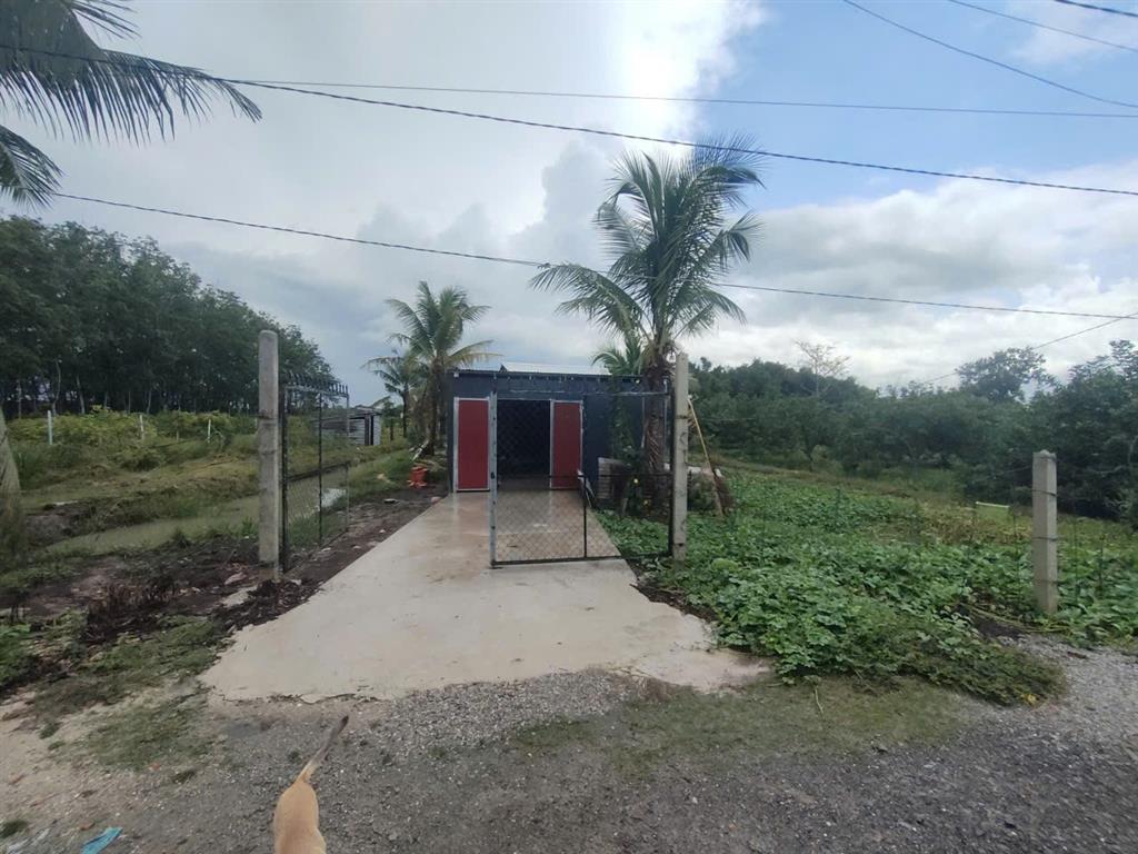Cần Bán 7 sào nhà + đất, hẻm 4.5m thông, Đường Thiên Thọ, kp Năm Trại, phường Long Hoa,