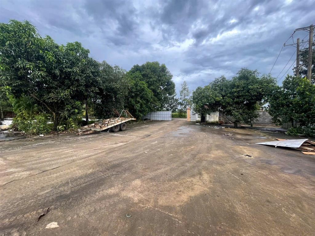 ĐẤT ĐẸP – GIÁ TỐT – CẦN BÁN LÔ ĐẤT + NHÀ MÁY TẠI Đường Xuân Tây, Xã Xuân Phú, Huyện Xuân