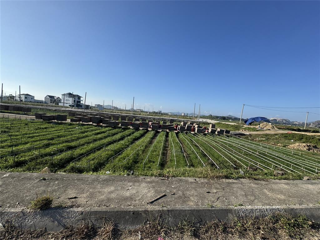 ĐẤT ĐẸP – GIÁ TỐT – CHÍNH CHỦ CẦN BÁN LÔ ĐẤT TẠI P.Tân Mai (P. Quỳnh Dị cũ), TX. Hoàng