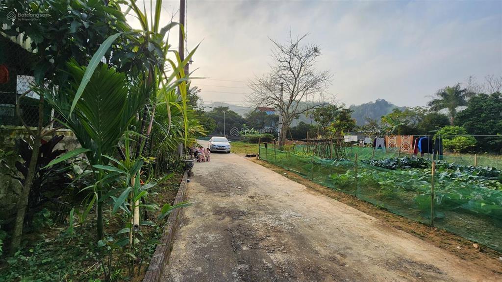 Bán 245,8m2 giá chỉ 2.2 tỷ, nở hậu, đối diện sân golf phoenix lâm sơn, lương sơn