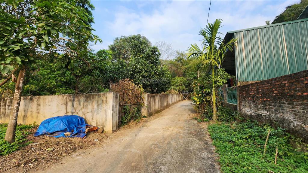 Bán 245,8m2 giá chỉ 2.2 tỷ, nở hậu, đối diện sân golf phoenix lâm sơn, lương sơn