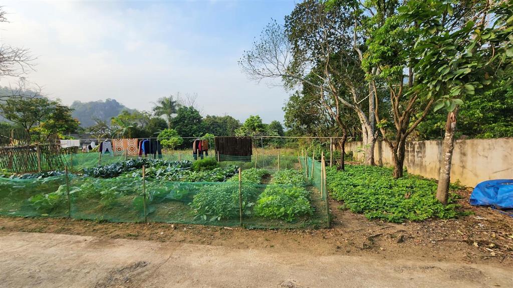 Bán 245,8m2 giá chỉ 2.2 tỷ, nở hậu, đối diện sân golf phoenix lâm sơn, lương sơn