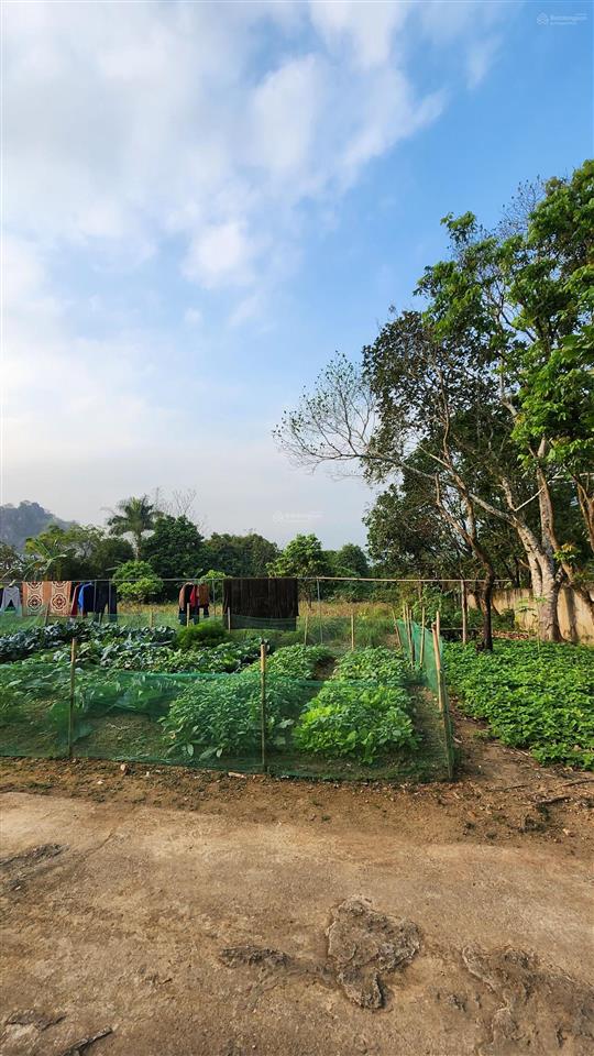 Bán 245,8m2 giá chỉ 2.2 tỷ, nở hậu, đối diện sân golf phoenix lâm sơn, lương sơn