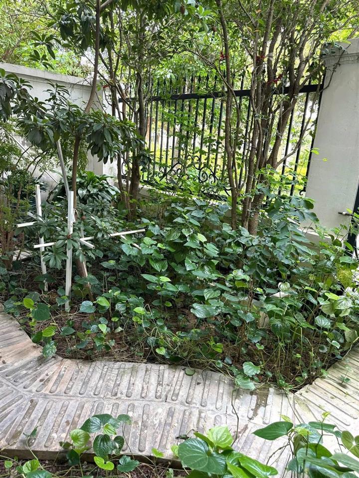 Liền kề louis đại mỗ  phong cách tân cổ điển  hàng xóm đông, ban quản lý uy tín, yên tĩnh giá tốt