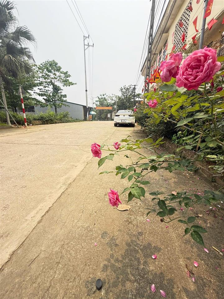 Bán đất trục chính trung tâm cố thổ, hoà sơn, lương sơn, hoà bình