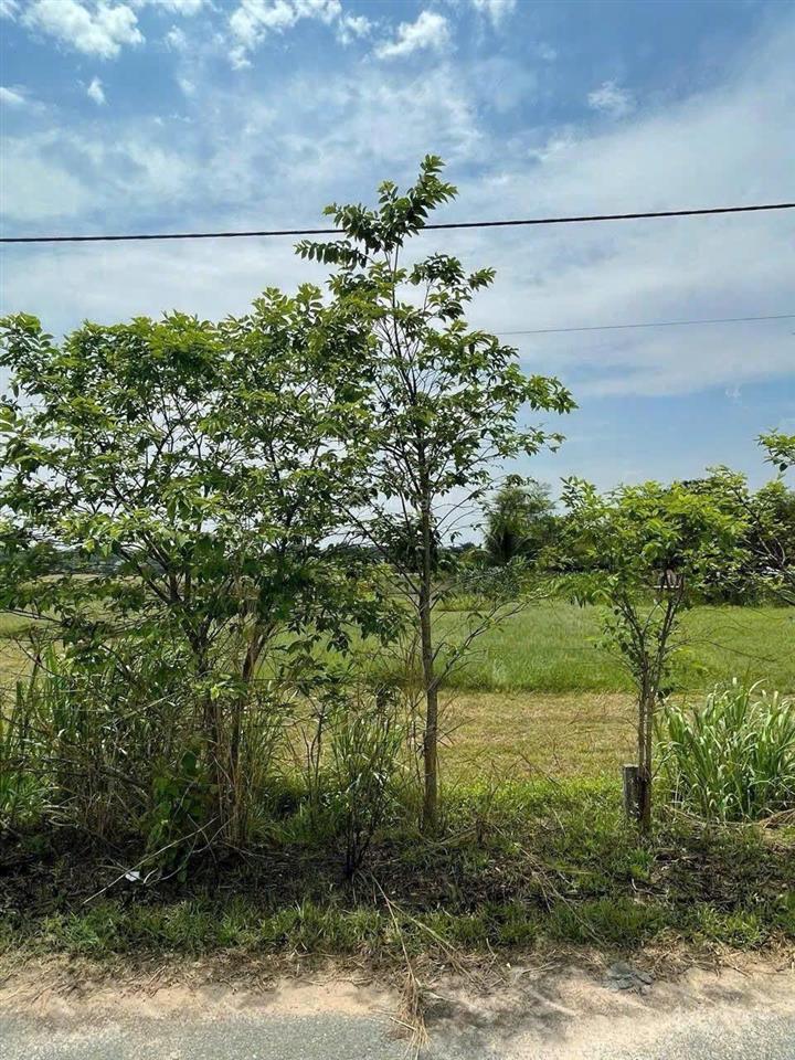 Chủ gửi lô đất mặt tiền thổ cư full 5x35m giá 1 tỷ x