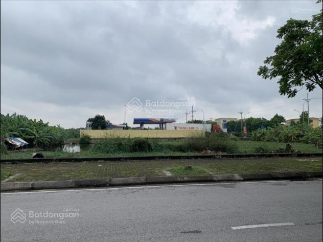 Bán đất phân lô khu tái định cư kim sơn diện tích 80m2