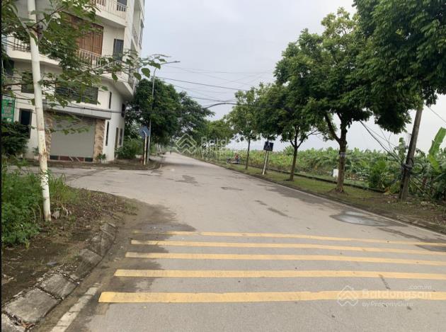 Bán đất phân lô khu tái định cư kim sơn diện tích 80m2