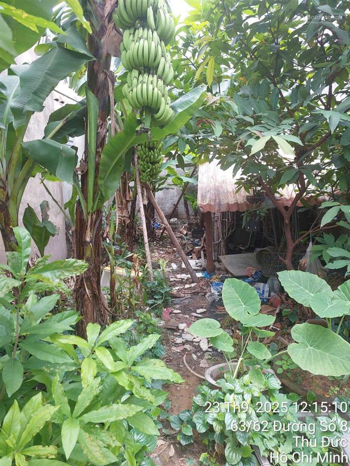 Bán lô đất đường số 8 lnh xuân thủ đức
