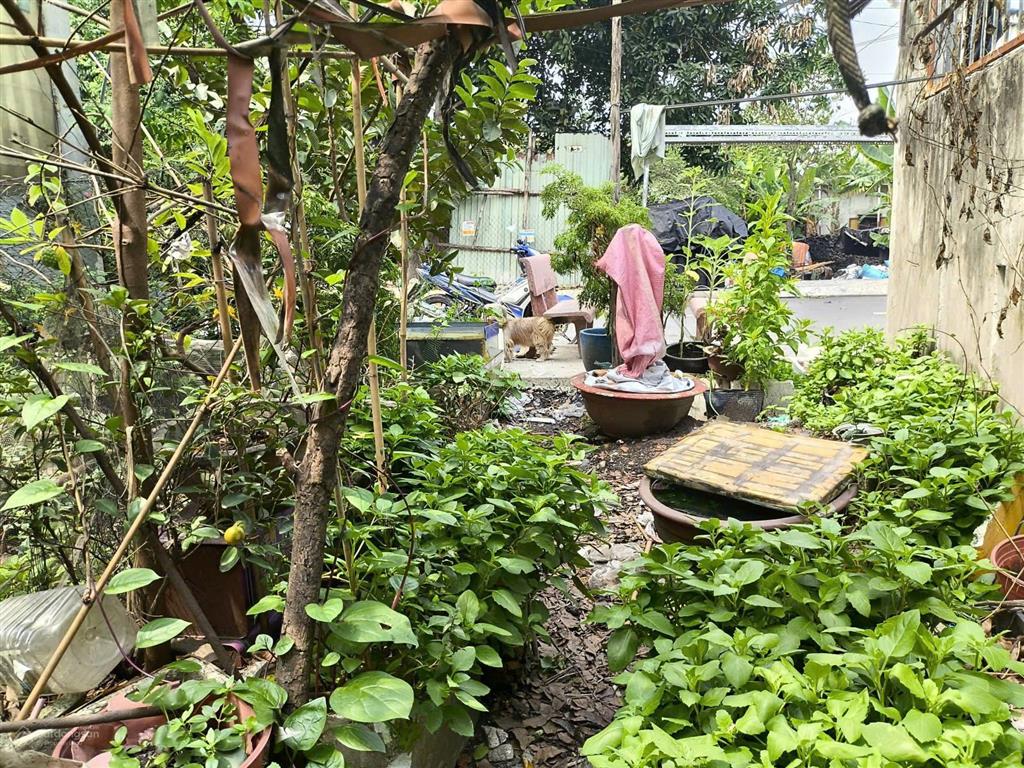 Siêu phẩm đất 5 x 21m mặt tiền tân hiệp duy nhất  tân hiệp, hóc môn, giá chỉ 3,5 tỷ