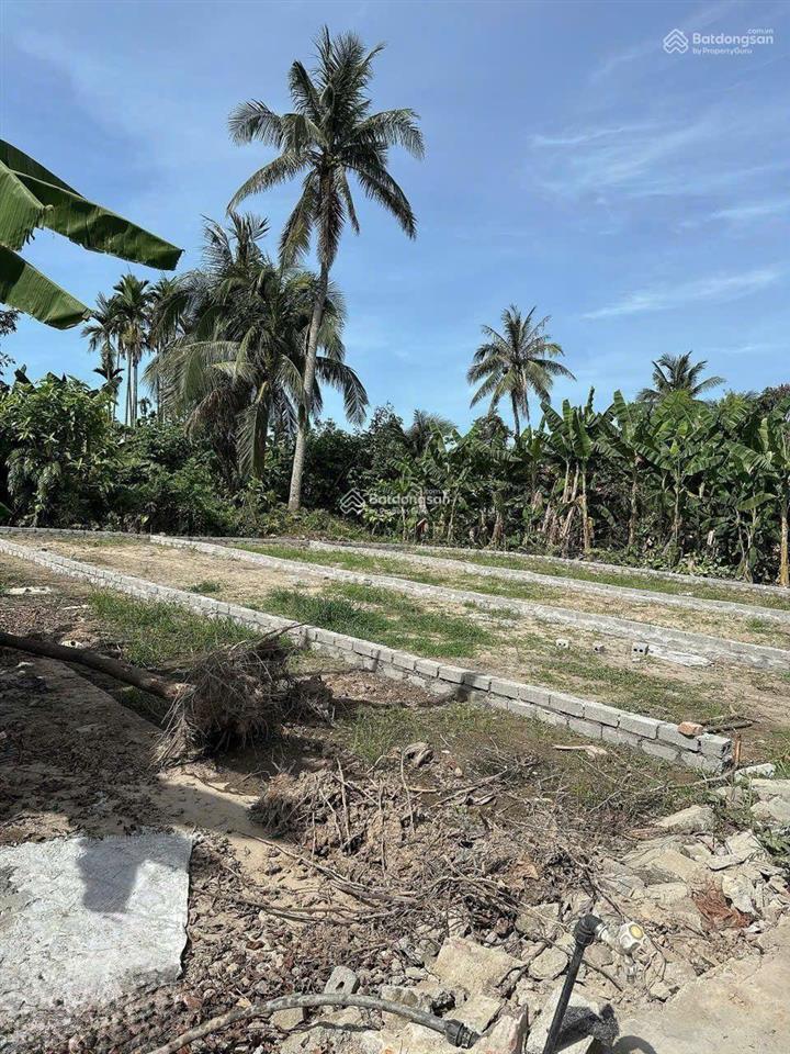 Cần bán đất tại thôn câu trung, quang hưng, an lão, hải phòng.