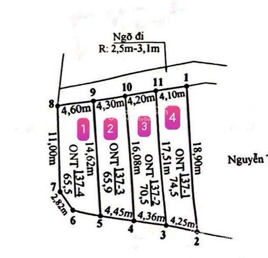 Cần bán đất tại thôn câu trung, quang hưng, an lão, hải phòng.