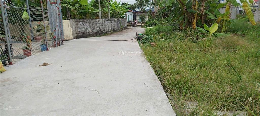 Cần bán đất tại thôn câu trung, quang hưng, an lão, hải phòng.