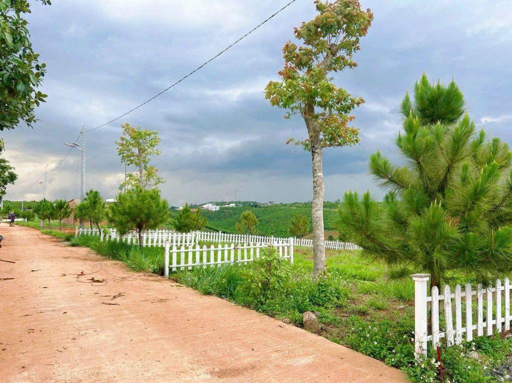 lô đất nghỉ dưỡng view hồ daklong thượng cực đẹp giá chỉ 1.5 tỷ sở hữu 500m2